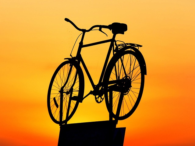 transportation