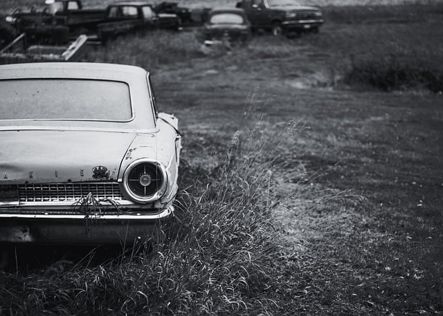 cars