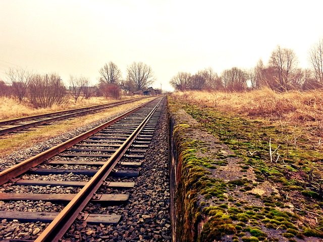 transportation