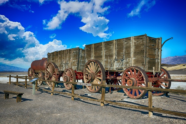 wagon