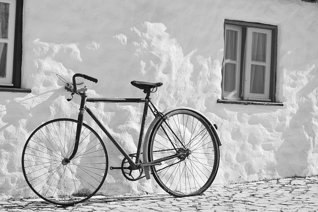 transportation