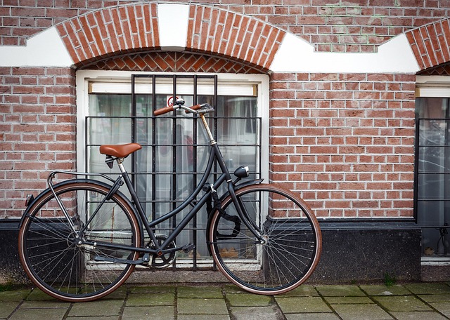 transportation
