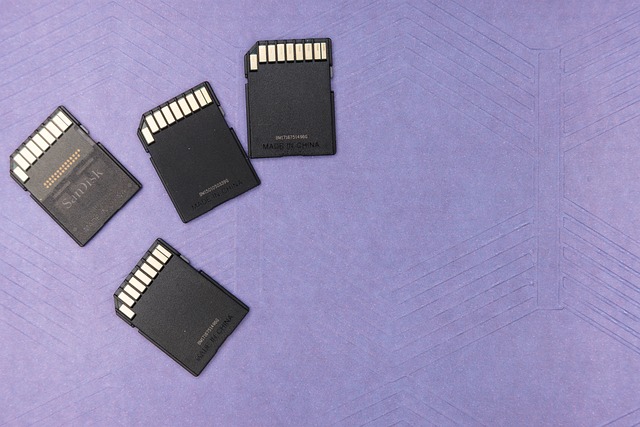 multimedia