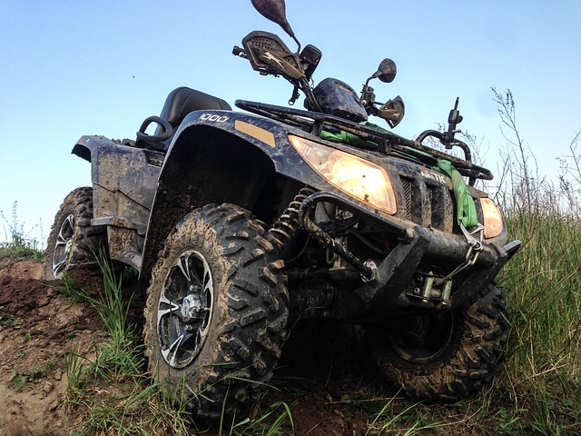 vehicle