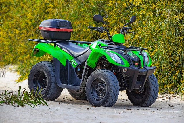 vehicles