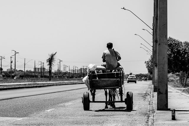 transportation