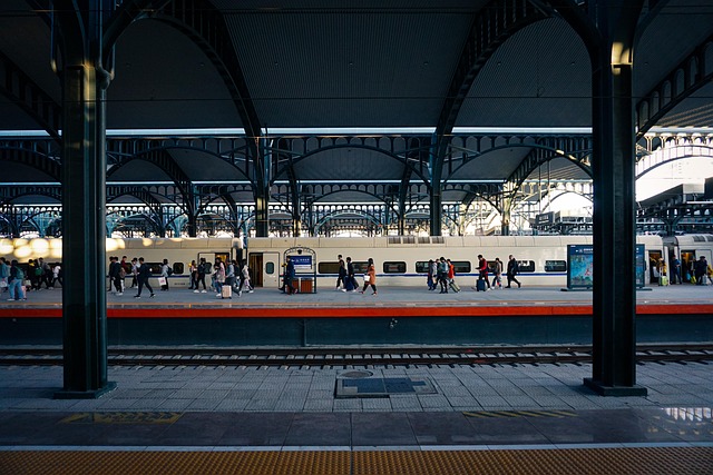 transportation