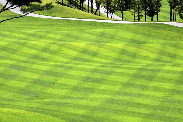 golf